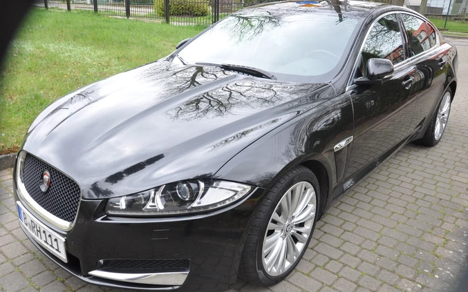 Jaguar XF cena 59900 przebieg: 226000, rok produkcji 2014 z Recz małe 436